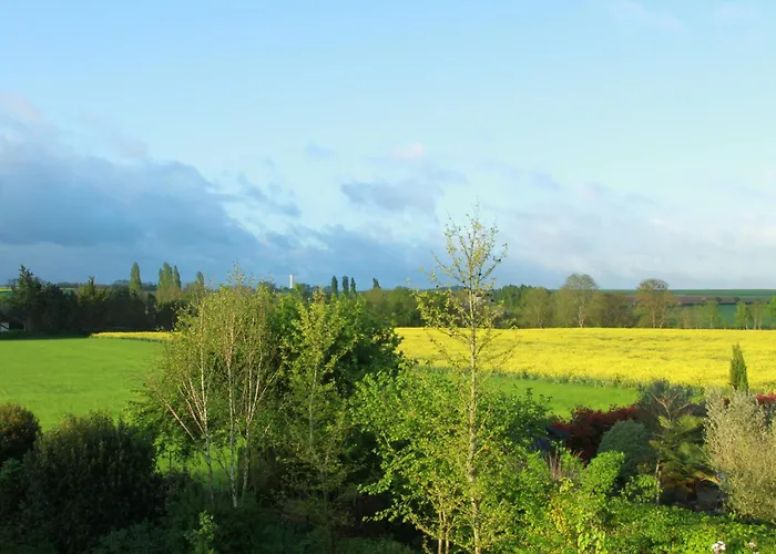 住宿加早餐酒店 La Moriniere